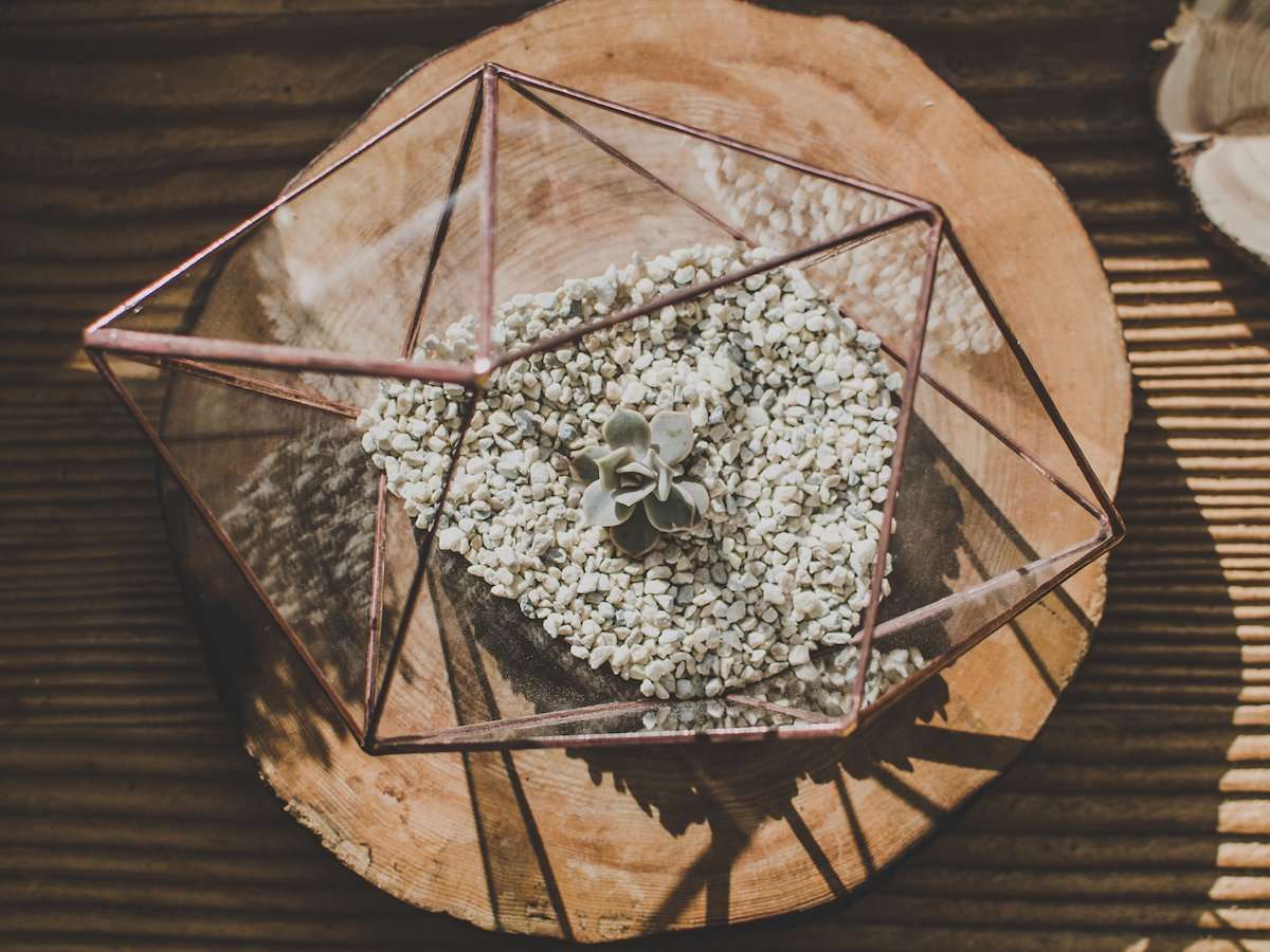 Small Glass Strange Shape Terrarium - Image 4